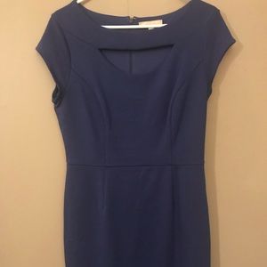 Blue Stretch Knit dress